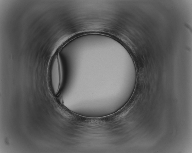 X0000098101077200804251359