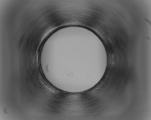 X0000098101078200804251359
