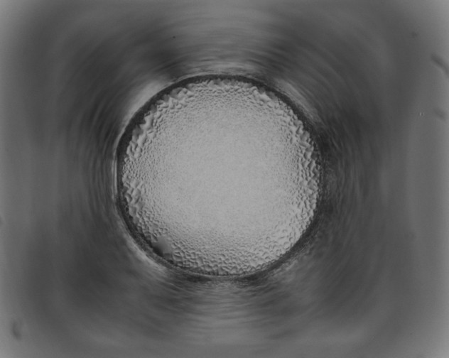 X0000098101079200804251359