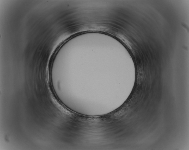 X0000098101080200804251359