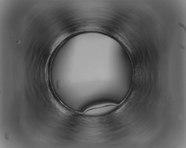 X0000098101082200804251359