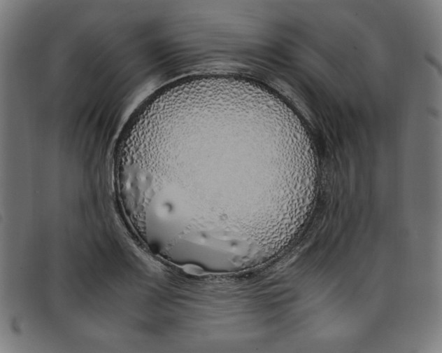 X0000098101083200804251359
