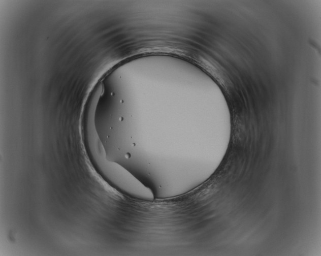 X0000098101084200804251359