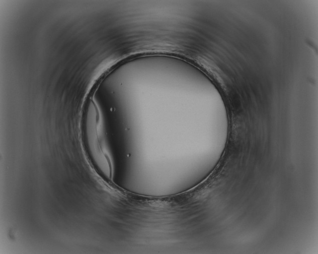 X0000098101085200804251359