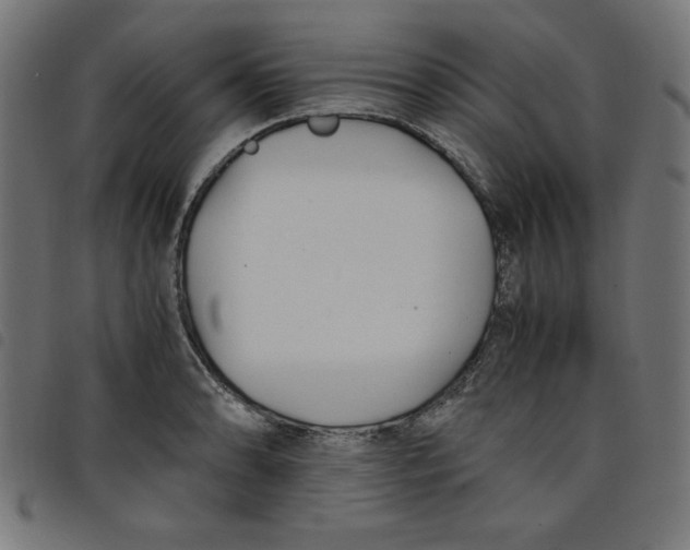 X0000098101086200804251359