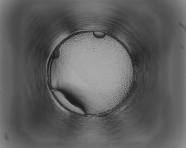 X0000098101087200804251359