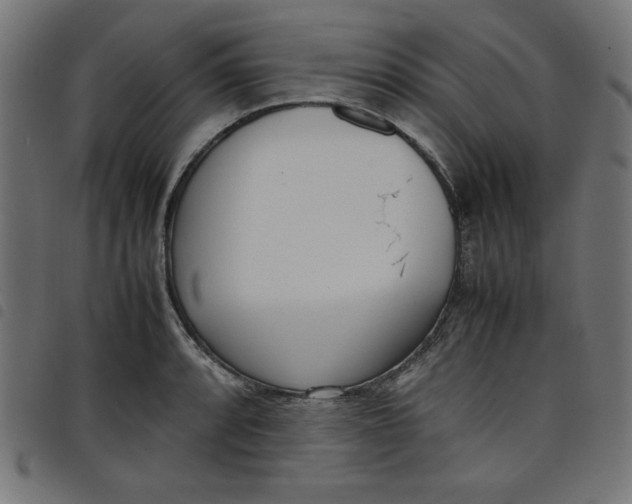 X0000098101088200804251359