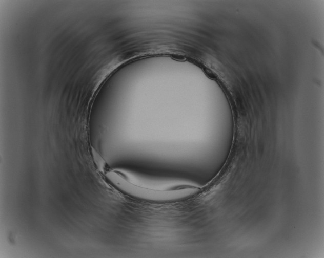 X0000098101089200804251359