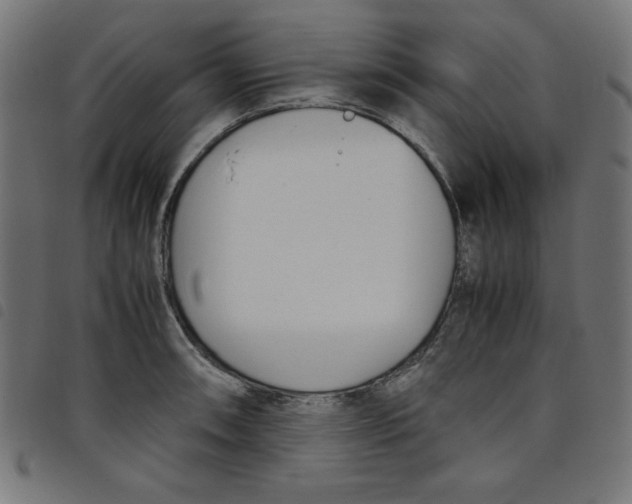 X0000098101090200804251359