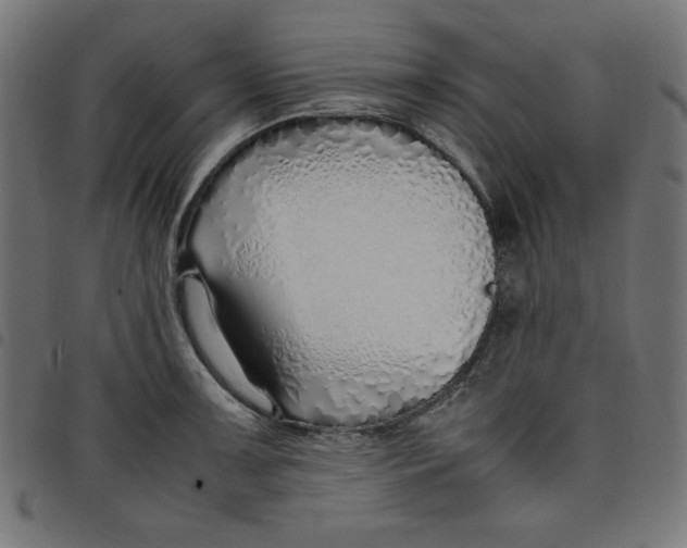 X0000098101091200804251359