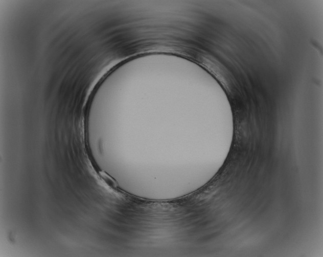 X0000098101092200804251359