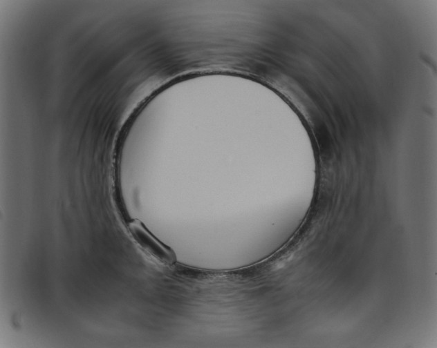 X0000098101093200804251359