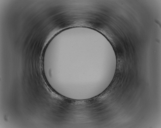 X0000098101094200804251359