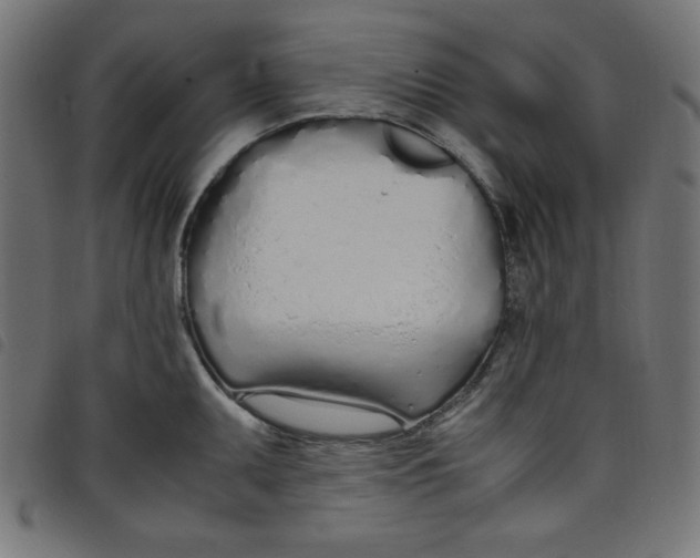 X0000098101095200804251359