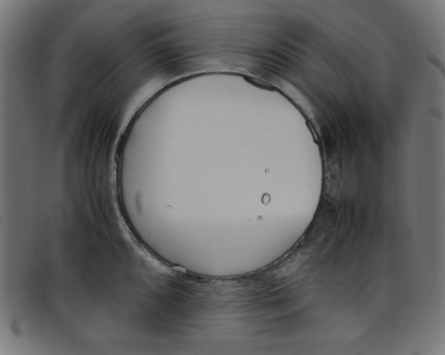 X0000098101096200804251359
