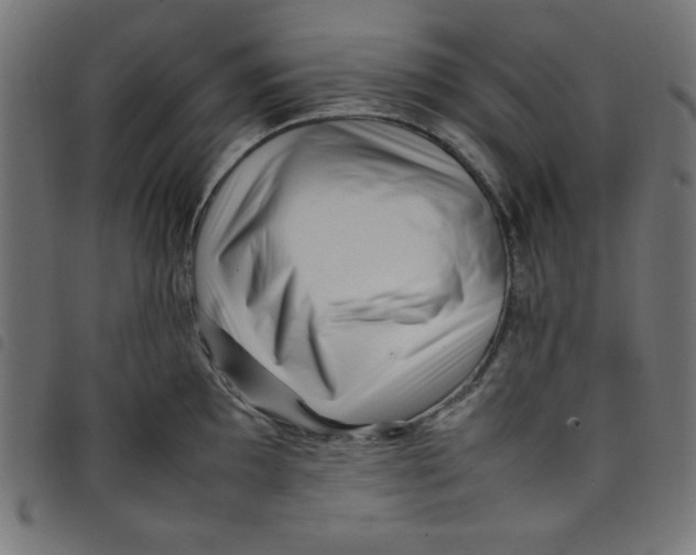X0000098101097200804251359