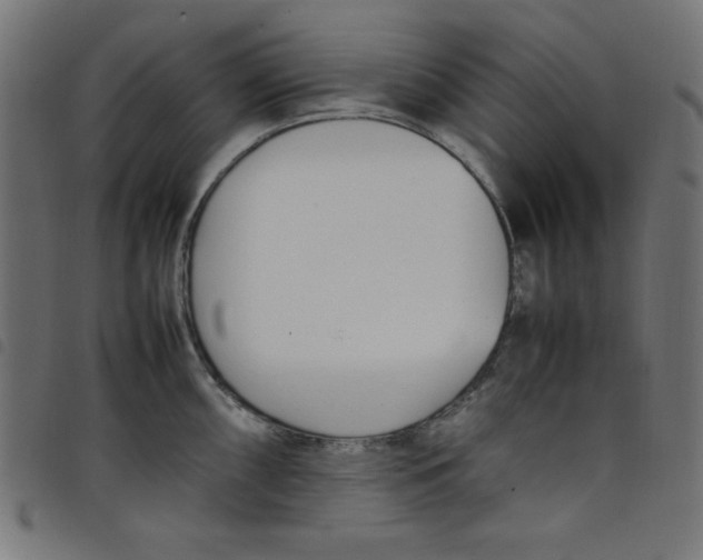 X0000098101098200804251359