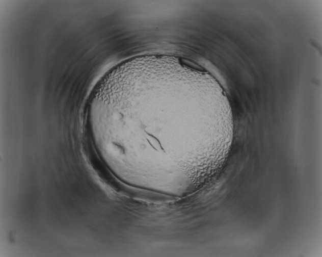 X0000098101099200804251359
