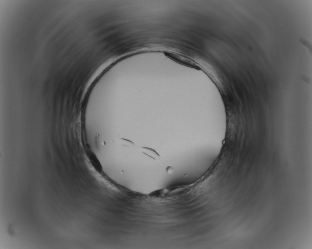 X0000098101100200804251359