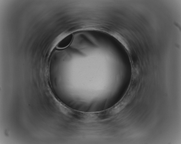X0000098101101200804251359