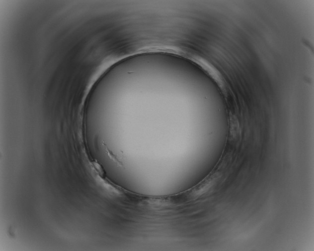 X0000098101102200804251358