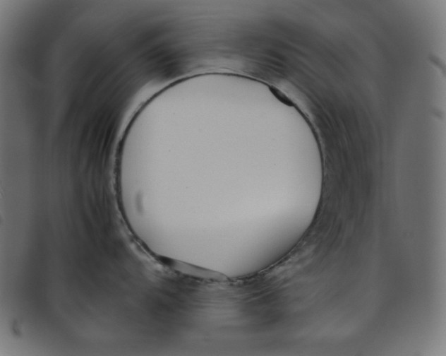 X0000098101104200804251358