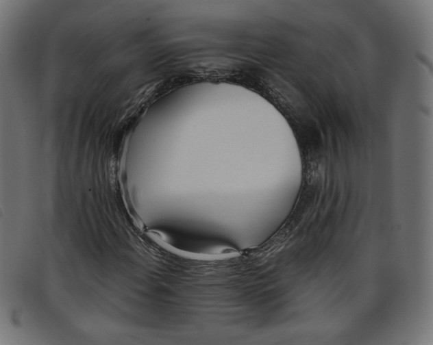 X0000098101108200804251358