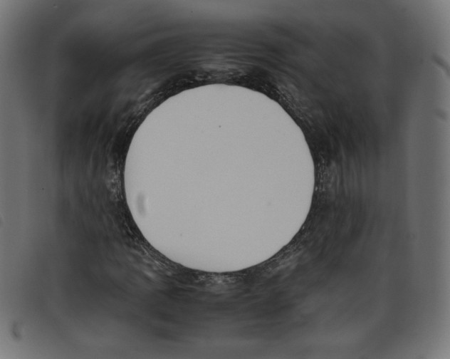 X0000098101109200804251358
