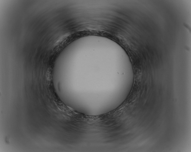 X0000098101110200804251358