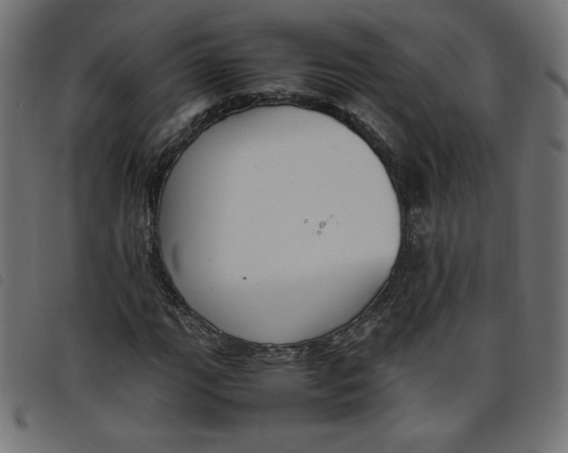 X0000098101111200804251358