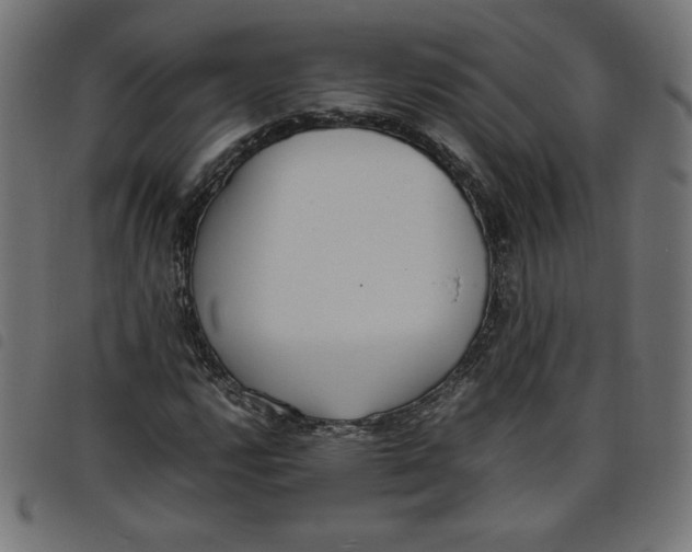 X0000098101112200804251358