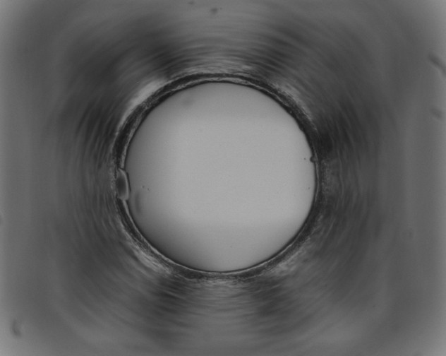 X0000098101114200804251358