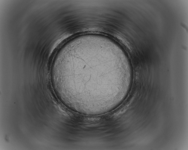 X0000098101117200804251358