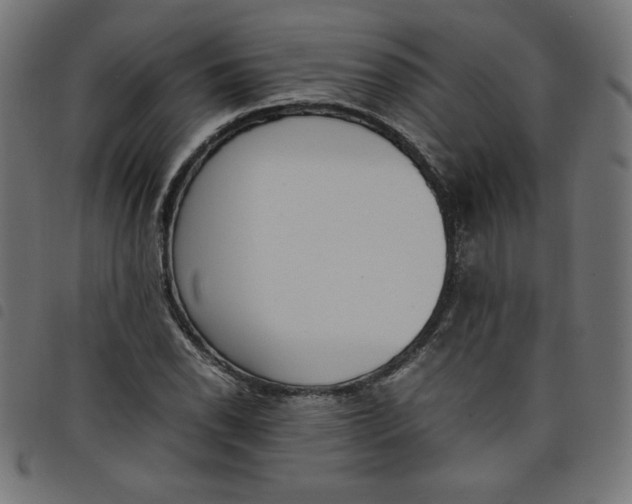X0000098101118200804251358
