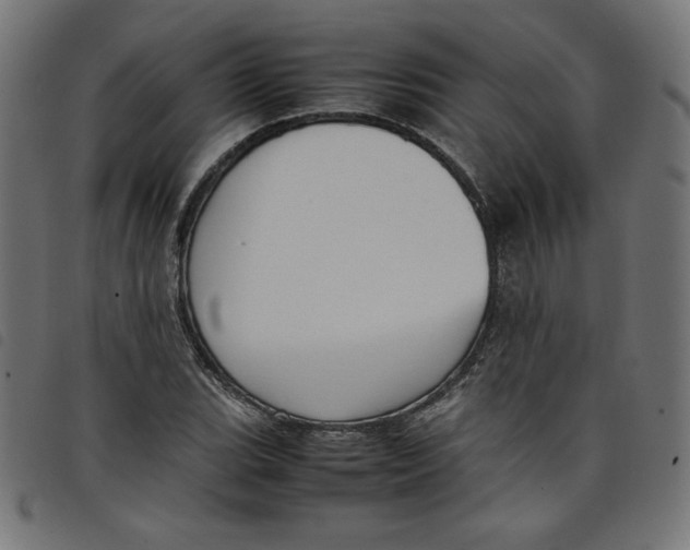 X0000098101119200804251358