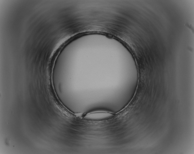 X0000098101120200804251358