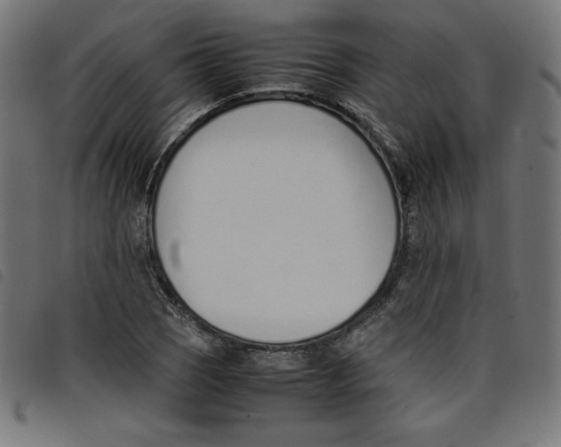 X0000098101121200804251358