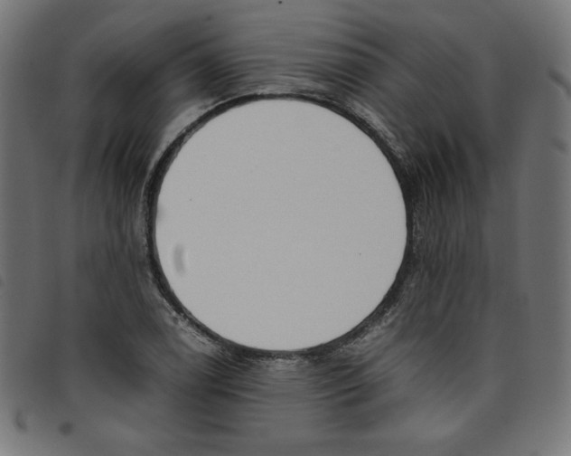 X0000098101122200804251358