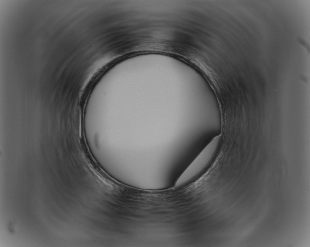 X0000098101123200804251358