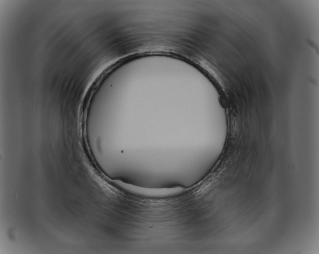 X0000098101124200804251358