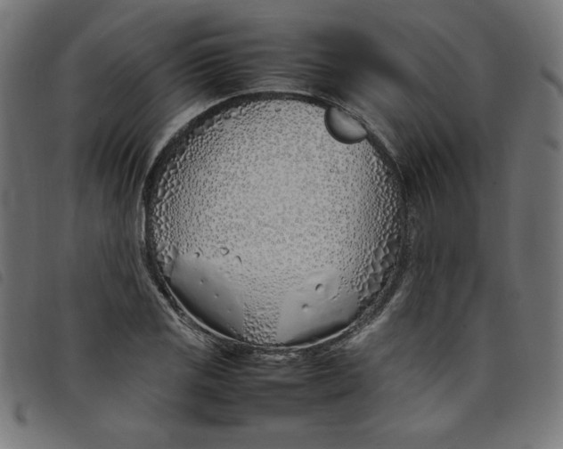 X0000098101125200804251358