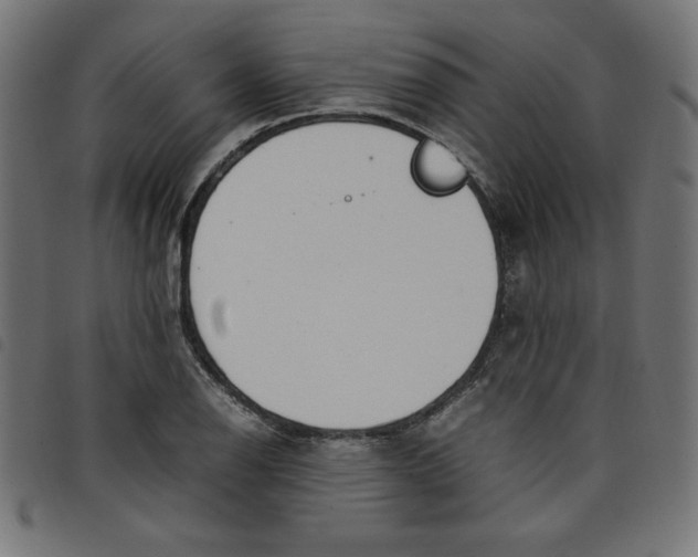 X0000098101126200804251358