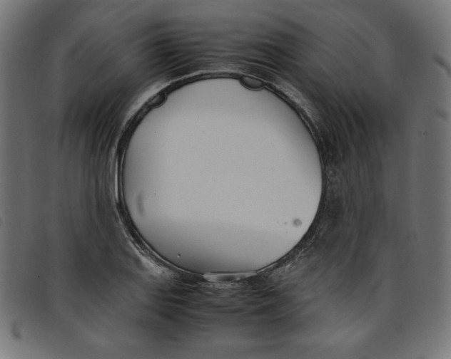 X0000098101127200804251358