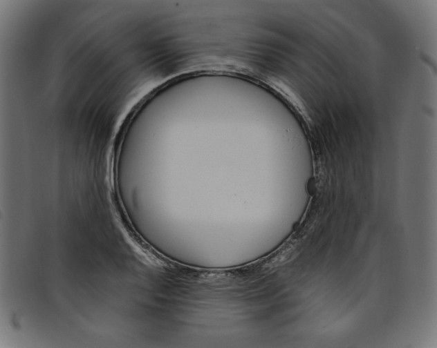 X0000098101128200804251358
