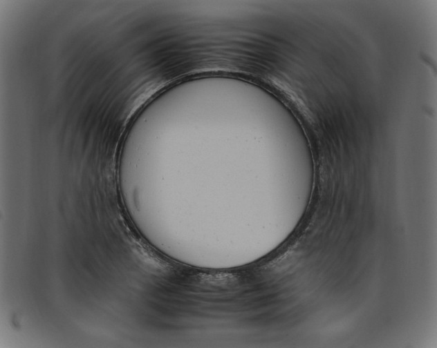 X0000098101129200804251358