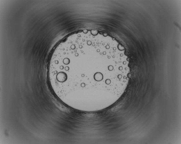 X0000098101130200804251358