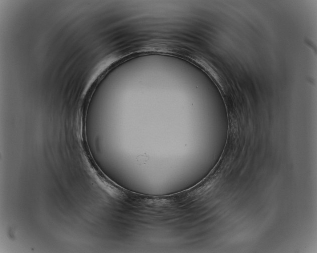 X0000098101131200804251358