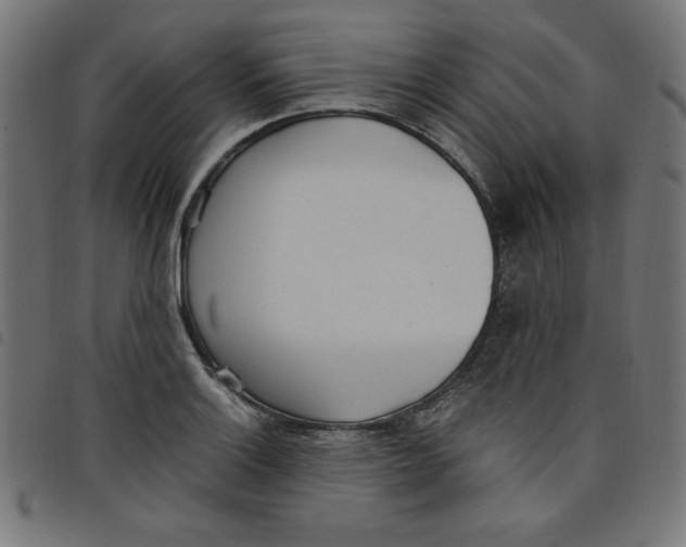 X0000098101132200804251358