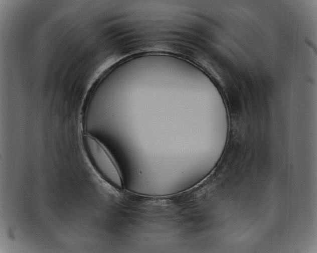 X0000098101133200804251358