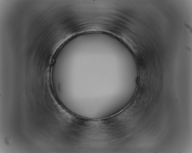 X0000098101134200804251358